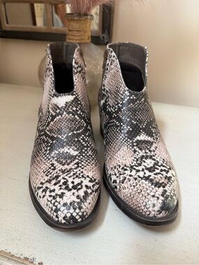 Pierre Dumas Pink and Black Snake-Print Chelsea Ankle Boots